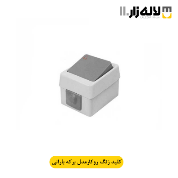 تصویر  کلید زنگ بارانی روکار برکه پارت