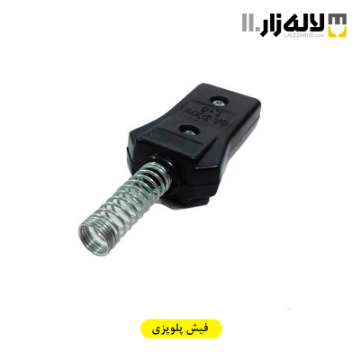 تصویر  فیش پلوپزی