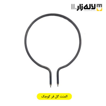 تصویر  المنت گل فر کوچک