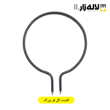 تصویر  المنت گل فر بزرگ