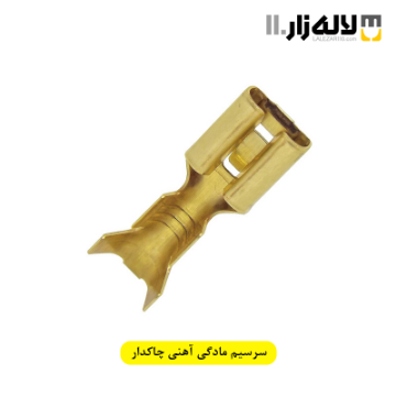 تصویر  سرسیم مادگی آهنی چاکدار